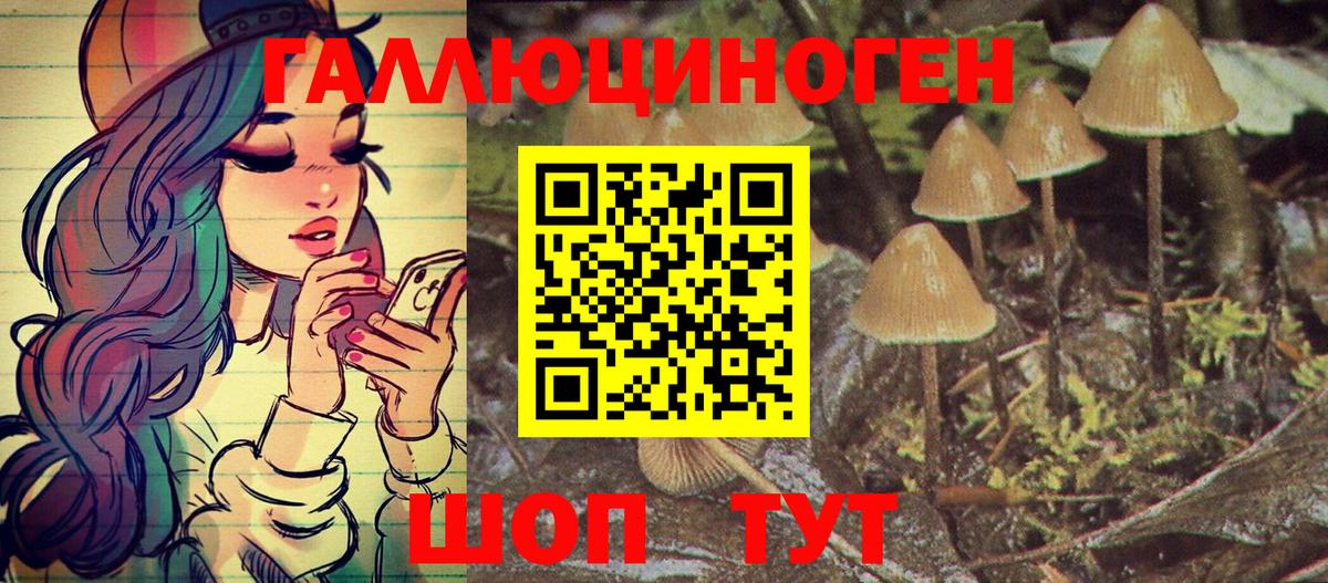 Галлюциногенные грибы Magic Shrooms  Галлюциногенные грибы прущие грибы  Вход с VPN  Псков 
