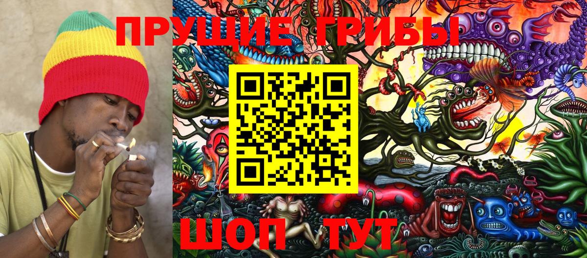 Галлюциногенные грибы Cubensis Псков